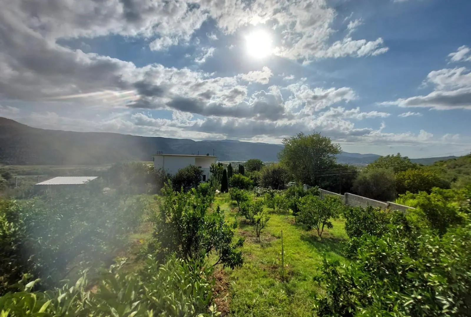 Apartament Guest House Xhaferaj Berat
